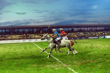 Poloçularımız Avropa çempionatının finalında