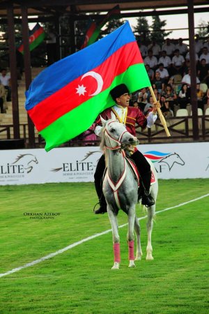 Polo vətəninə - Azərbaycana qayıtdı