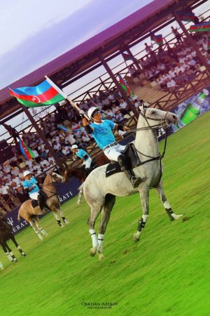 Polo vətəninə - Azərbaycana qayıtdı
