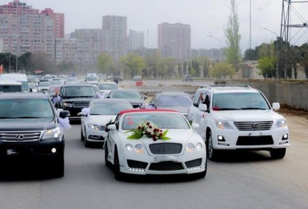 Toy haqqında qanun hazırlanır