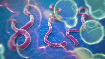 Ebola virusunun qurbanlarının sayı 11,2 min nəfərə çatdı