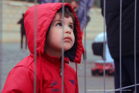 Baku World Challenge 2014