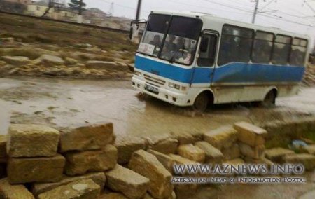 204 nömrəli avtobuslar hər gün insanları ölümə aparır