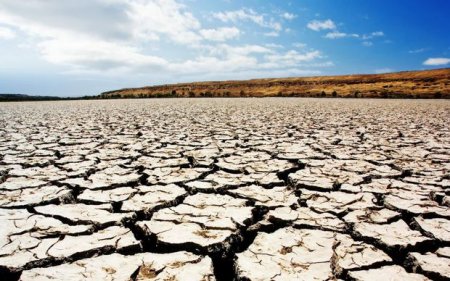 Azərbaycanda 400 min hektara yaxın yararsız torpaq sahələri var
