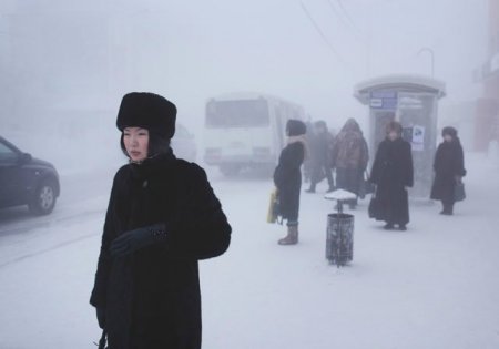 -71 dərəcədə həyat