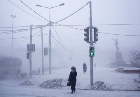 -71 dərəcədə həyat