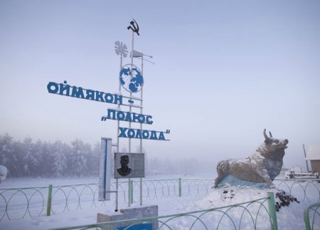 -71 dərəcədə həyat