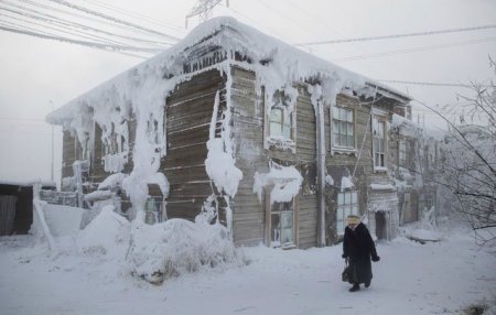 -71 dərəcədə həyat