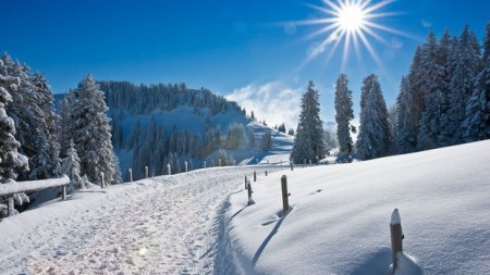 Fevralın 23-nə olan hava proqnozu açıqlandı