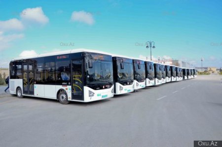 Bakıya yeni sərnişin avtobusları gətirildi