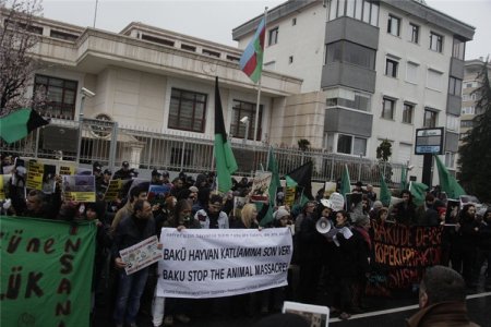 İstanbulda Azərbaycana qarşı, “Hamımız heyvanıq” aksiyası