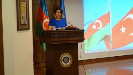 Əli Həsənov Türkiyədə Hüseyn Cavid haqqında keçirilən konfransda iştirak etdi