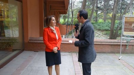 Əli Həsənov Türkiyədə Hüseyn Cavid haqqında keçirilən konfransda iştirak etdi