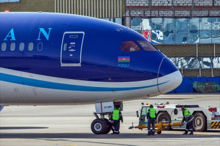 AZAL: Bizi “Lufthansa” ilə müqayisə edin