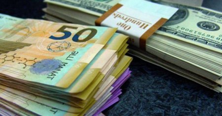 Dollar borcunun ziyanını kim çəkəcək?