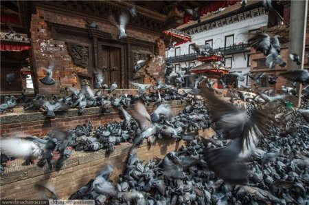 Nepaldan dəhşətli görüntülər
