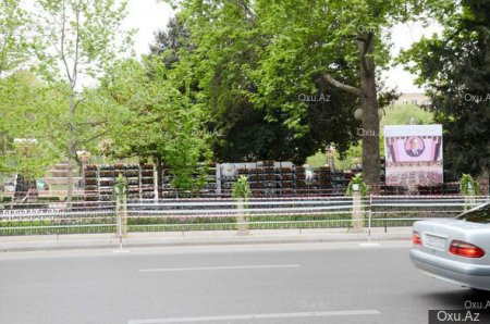 Bakı gül bayramına hazırlaşır