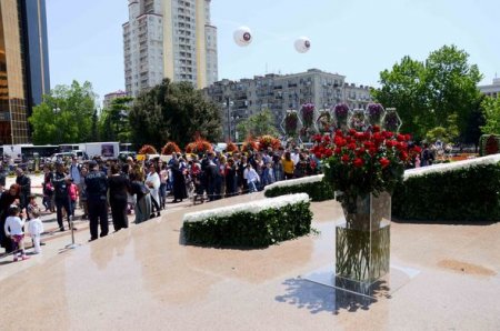 Bakıda Gül bayramı