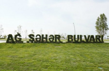 Əliyev bulvarda sükan arxasında