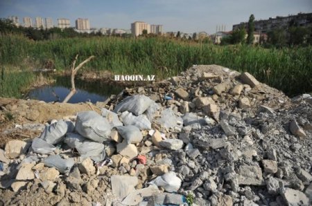 Bakıdakı dendropark belə məhv edildi...