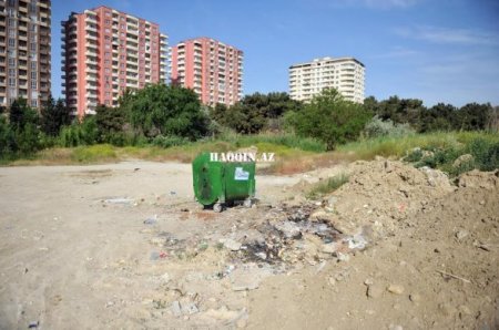 Bakıdakı dendropark belə məhv edildi...