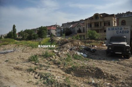 Bakıdakı dendropark belə məhv edildi...