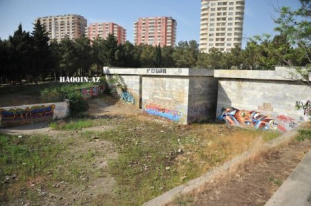 Bakıdakı dendropark belə məhv edildi...