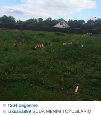 Rəqsanənin yeni villası