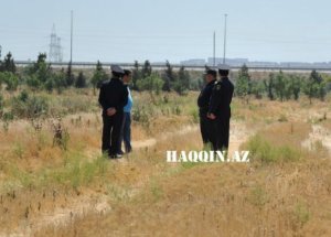 Oliqarxlar balta götürüb İlham Əliyevin ağaclarına hücum etdi