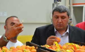 Azərbaycanlı iş adamı ruslara türk qarpızı satacaq