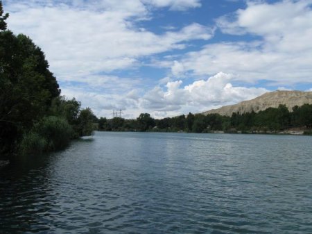 Kür yenə can aldı
