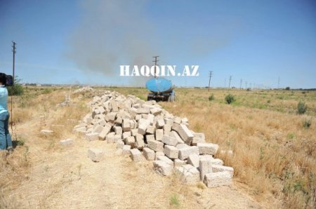 Oliqarxlar balta götürüb İlham Əliyevin ağaclarına hücum etdi Oliqarxlar balta götürüb İlham Əliyevin ağaclarına hücum etdi