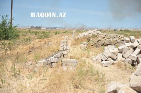 Oliqarxlar balta götürüb İlham Əliyevin ağaclarına hücum etdi Oliqarxlar balta götürüb İlham Əliyevin ağaclarına hücum etdi