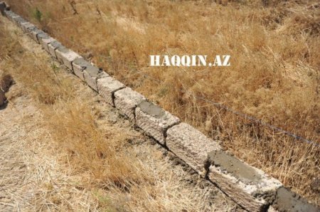 Oliqarxlar balta götürüb İlham Əliyevin ağaclarına hücum etdi Oliqarxlar balta götürüb İlham Əliyevin ağaclarına hücum etdi