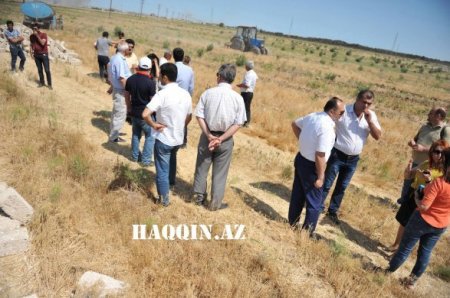 Oliqarxlar balta götürüb İlham Əliyevin ağaclarına hücum etdi Oliqarxlar balta götürüb İlham Əliyevin ağaclarına hücum etdi