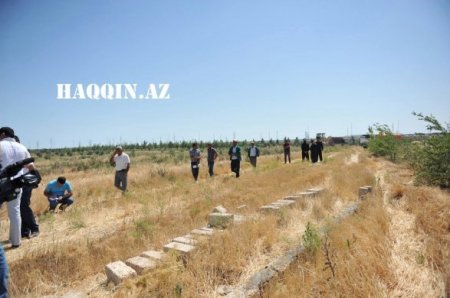 Oliqarxlar balta götürüb İlham Əliyevin ağaclarına hücum etdi Oliqarxlar balta götürüb İlham Əliyevin ağaclarına hücum etdi