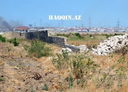 Oliqarxlar balta götürüb İlham Əliyevin ağaclarına hücum etdi Oliqarxlar balta götürüb İlham Əliyevin ağaclarına hücum etdi