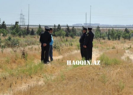 Oliqarxlar balta götürüb İlham Əliyevin ağaclarına hücum etdi Oliqarxlar balta götürüb İlham Əliyevin ağaclarına hücum etdi