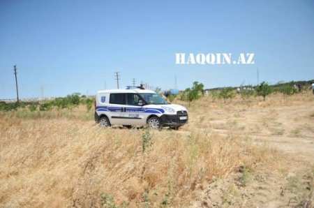 Oliqarxlar balta götürüb İlham Əliyevin ağaclarına hücum etdi Oliqarxlar balta götürüb İlham Əliyevin ağaclarına hücum etdi