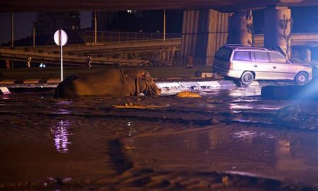 Tiflis su altında: Ölənlərin sayı 10-a çatdı