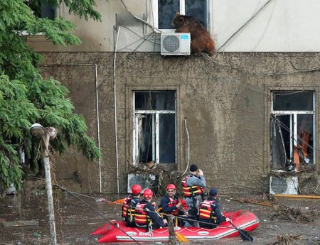 Gürcüstanda matəm elan olundu