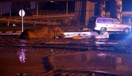 Gürcüstanda matəm elan olundu