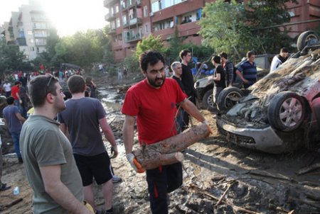 Bakı zooparkından Tiflisə kömək təklif olundu