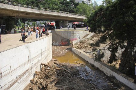 Tbilisi zooparkı daşqından sonra