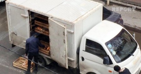 Çirkli baqajlarda, kirli əllərdə daşınan çörəklər...