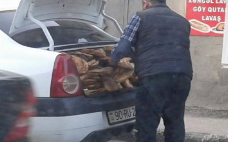 Çirkli baqajlarda, kirli əllərdə daşınan çörəklər...