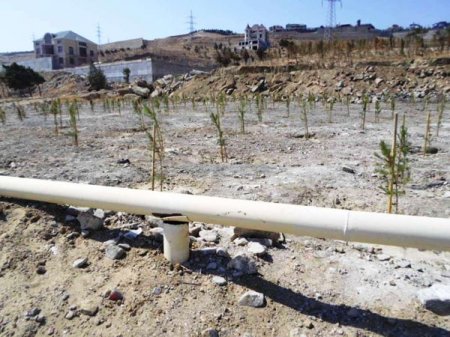 «Dostluq» parkında villaların söküntüsü dayandırılıb