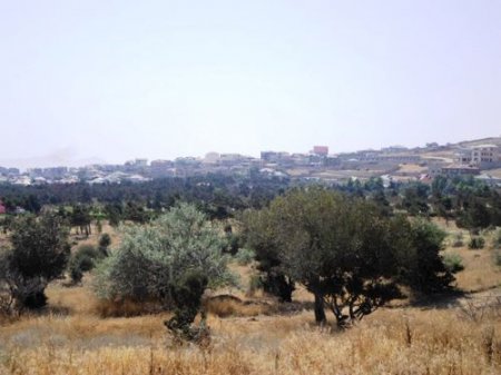«Dostluq» parkında villaların söküntüsü dayandırılıb