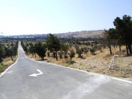 «Dostluq» parkında villaların söküntüsü dayandırılıb