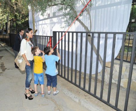 Leyla Əliyeva Bakı Zooloji Parkında yeni qəfəsin açılışında